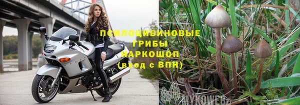 ешки Пестово