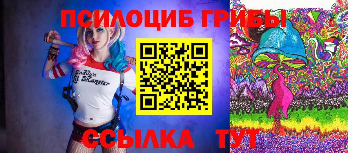 Галлюциногенные грибы Psilocybe  Майский 